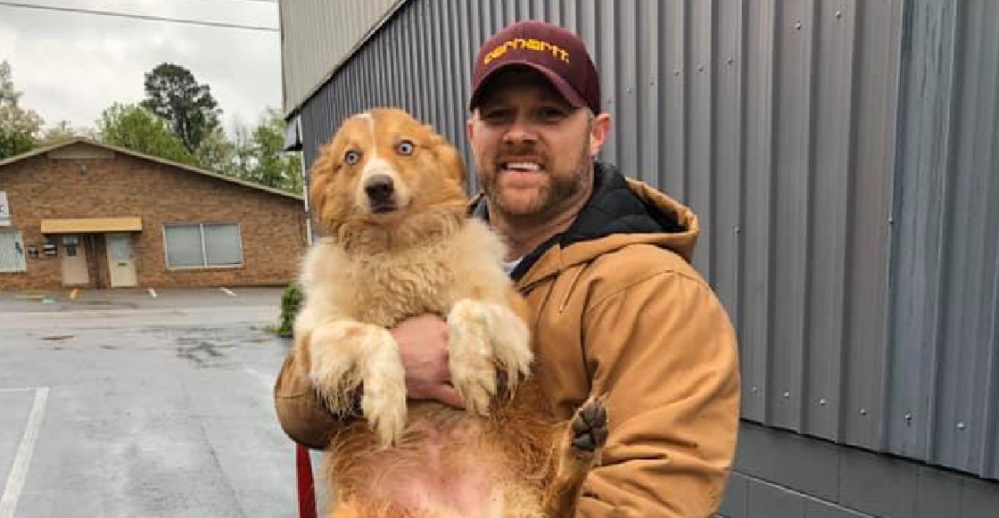 Bella, la perrita que logró reunirse con su familia 54 días después de salvarla de un tornado
